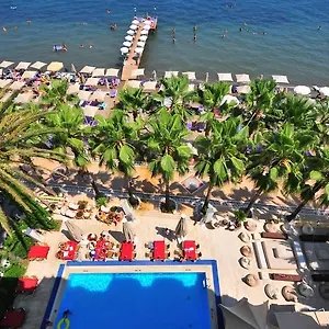 Palm 2* Мармарис